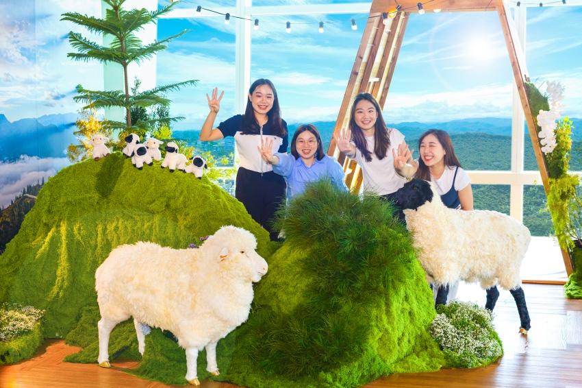 台北101夏季清境展登場！101觀景台四人同行免費送綿羊娃娃＋親子導覽課程