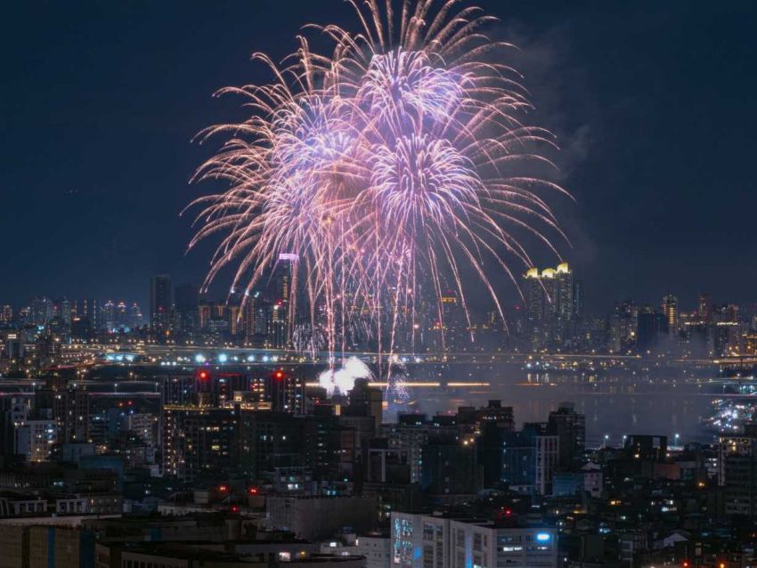 捷運就能抵達森林方舟！2025大稻埕夏日節壓軸煙火與台北夜景一次看