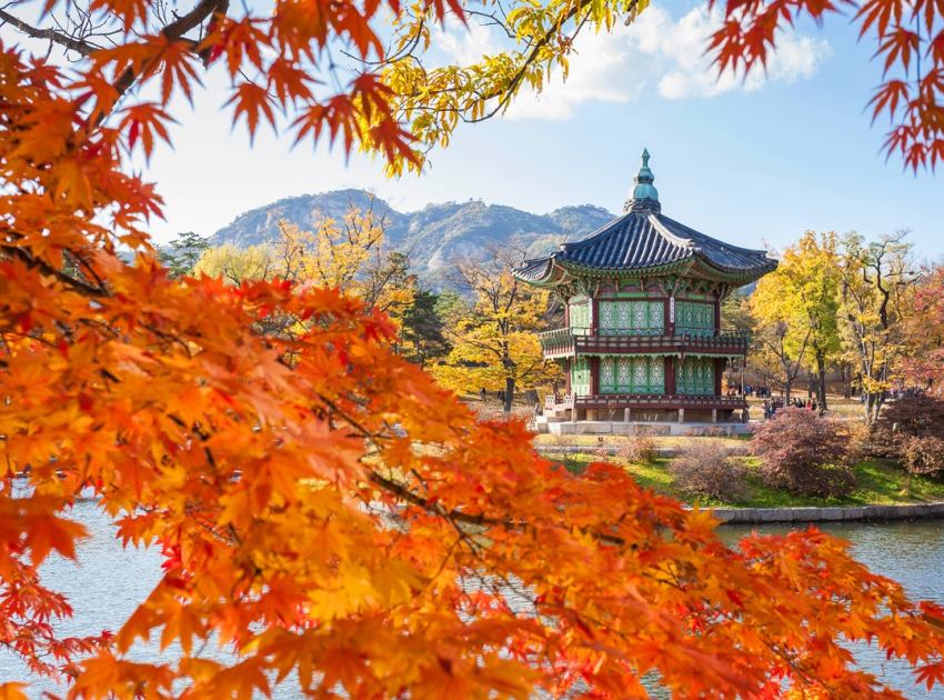 免等秋季旅展最高現折9999元，易遊網「暢秋旅遊節」機票優惠3折起，飛東京免7千、歐洲2萬有找，賞楓跟團全攻略