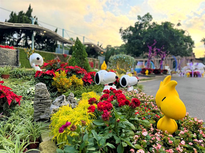 入夜後的園區點亮璀璨燈飾,搭配百年古蹟建築的獨特氛圍,將現場營造出如同童話故事般的夢幻場景。