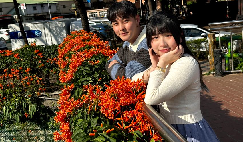 走春去哪裡?蘆洲鴨母港溝炮仗花海綻放中,捷運公車交通攻略看這裡