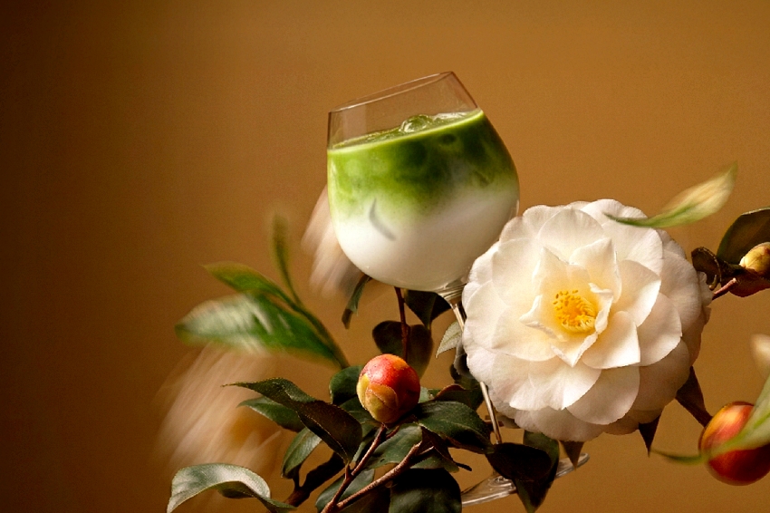 手搖飲美學新高度,可不可熟成茶行茶花烏龍系列限時優惠第2杯6折