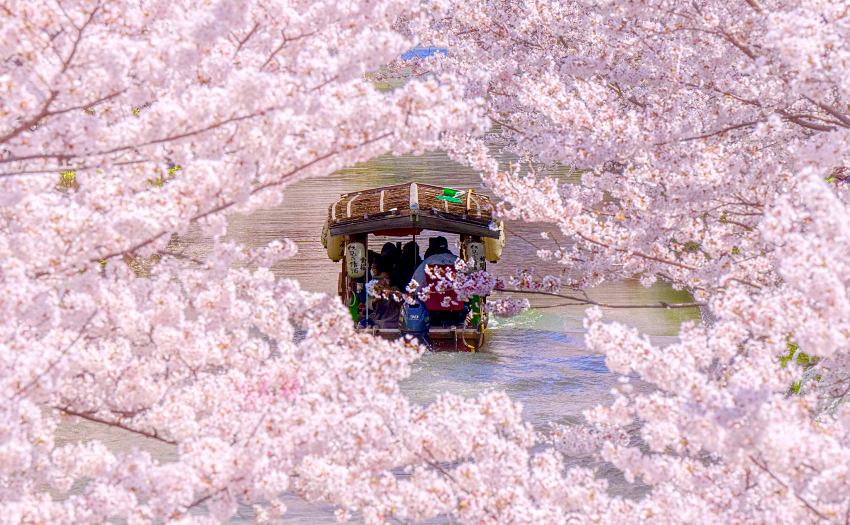 日本自由行省錢必看!刷CUBE卡訂星野集團飯店85折,滿額再抽東京機票