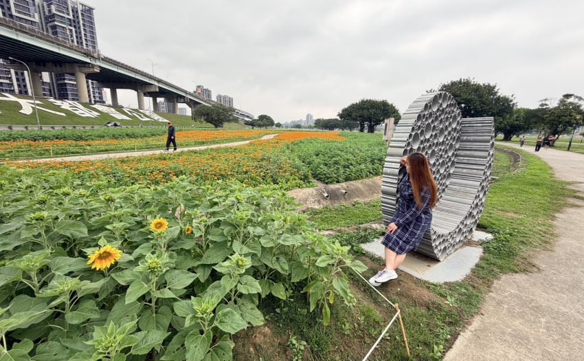 新北大都會公園、幸福水漾園區、花海、新北賞花景點、親子旅遊、打卡秘境。