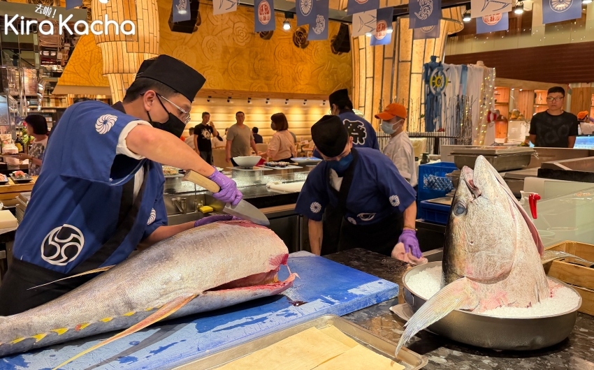 台北吃到飽推薦!豐FOOD海陸百匯鮪魚現切秀登場,多國料理與生食級干貝限時端上桌