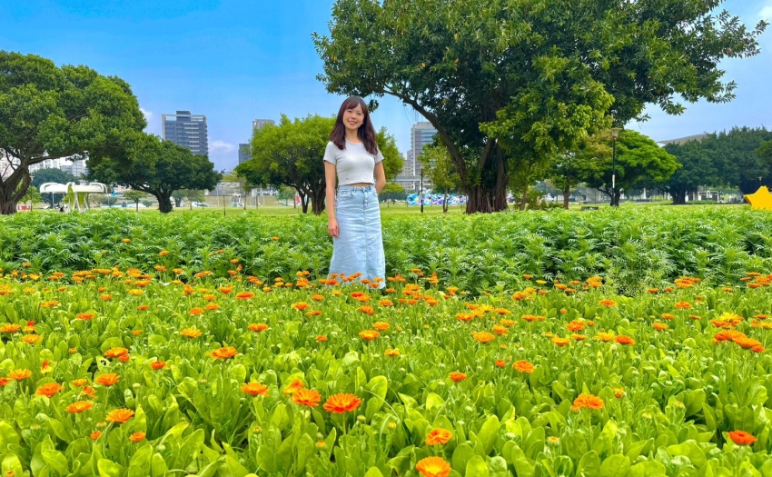 新北大都會公園幸福水漾園區花海綻放。百日草向日葵美景懶人包。