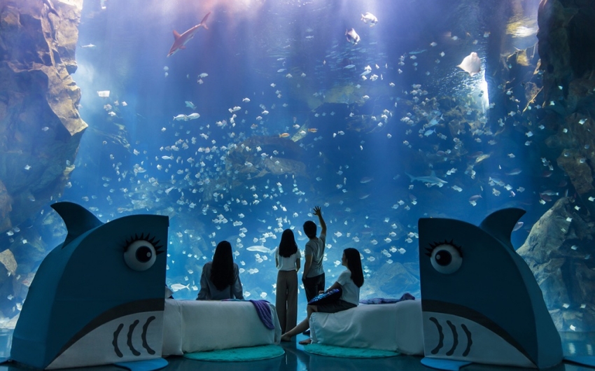 國泰飯店夏季旅展5月8日開跑！台北國泰萬怡自助餐抗漲回饋，最低360元起