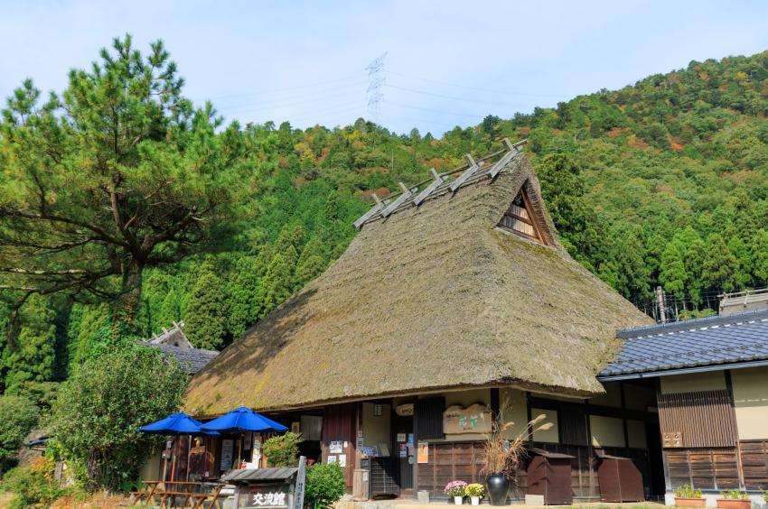 京都秋季咖啡廳、海之京都美食、森之京都咖啡、茶之京都宇治抹茶、美山茅葺之里咖啡、和束町天空CAFE、大山崎山莊美術館喫茶室
