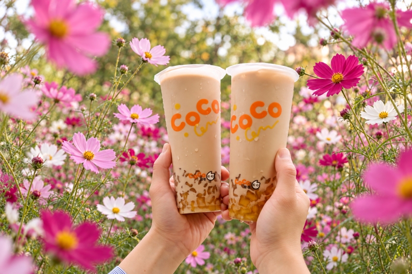 CoCo都可粉角奶茶兩杯與粉色花朵相映。圖/CoCo都可提供