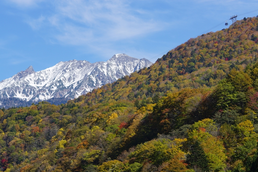 新穗高沿線景觀可見覆雪山稜與秋色山坡，纜車從高處林間經過。