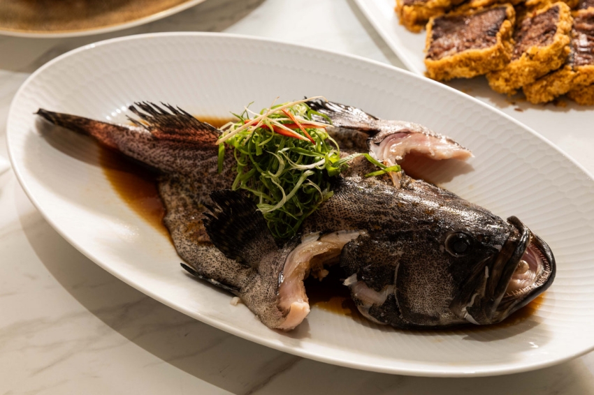 莆田PUTIEN清蒸龍虎斑搭配魚露醬汁與蔥絲。圖／莆田PUTIEN提供
