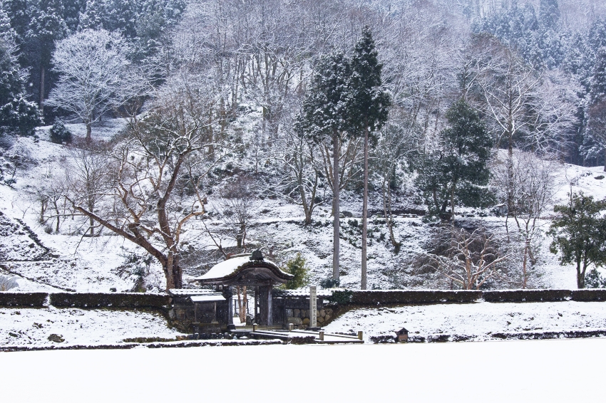 JR西日本 福井縣 ・幸福蓄電量測驗 抽獎 ・北陸新幹線 福井旅遊 ・關西北陸地區鐵路周遊券 ・ITF台北國際旅展 JR西日本 ・福井縣知事 訪台 ・福井自由行 2026